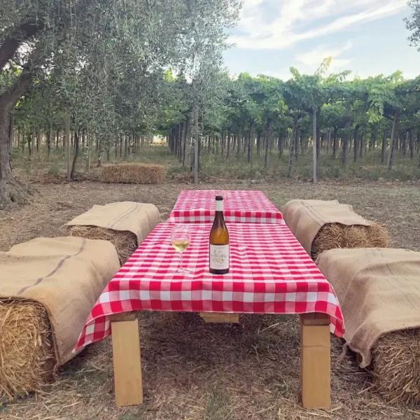 Cantine Aperte 2023 Abruzzo