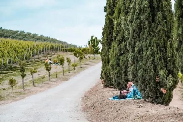 Cantine Aperte Abruzzo 2023